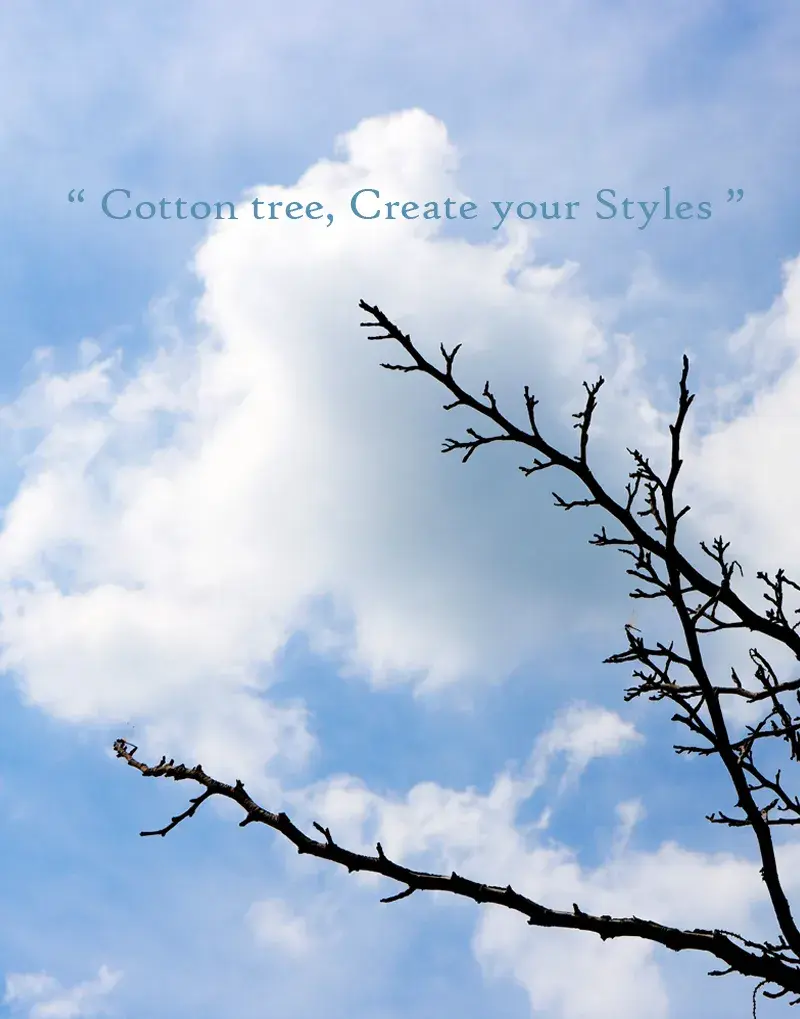 quotes