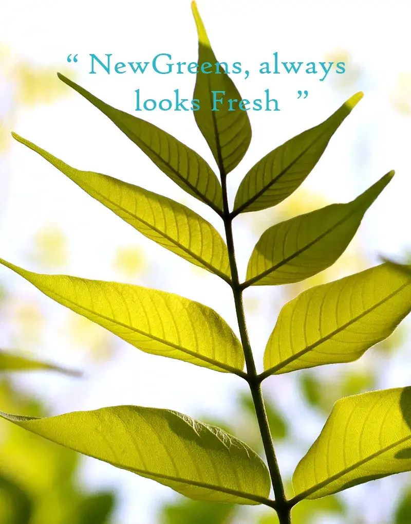 quotes