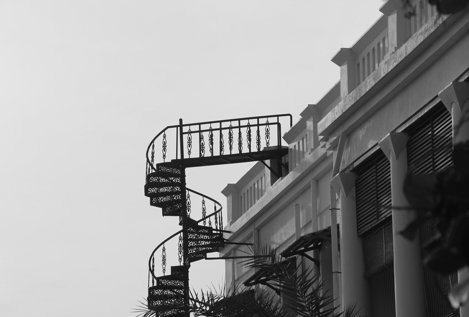 blackwhite-image