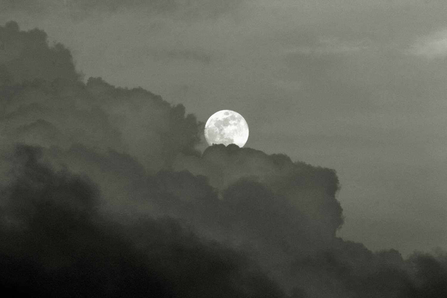 blackwhite-image