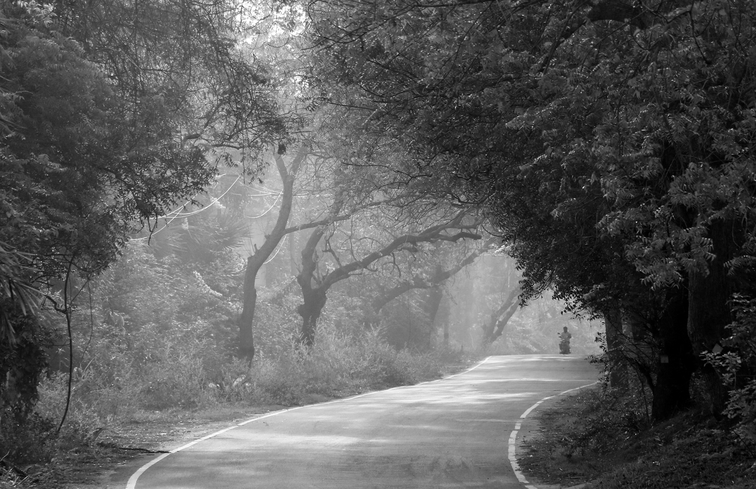 blackwhite-image