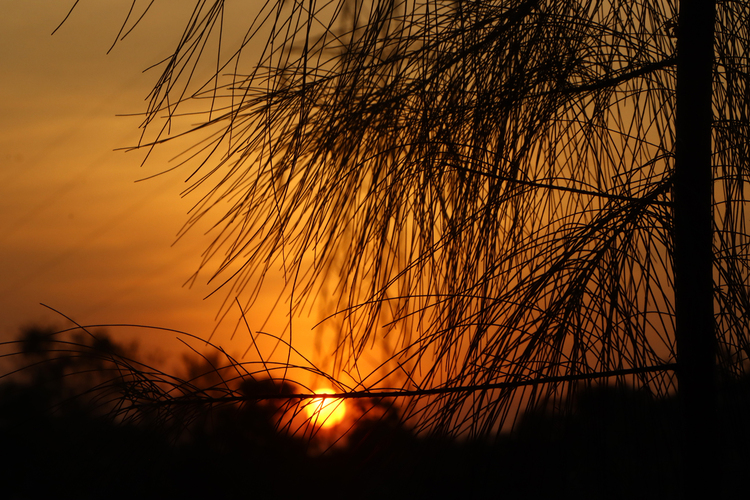 landscape-img
